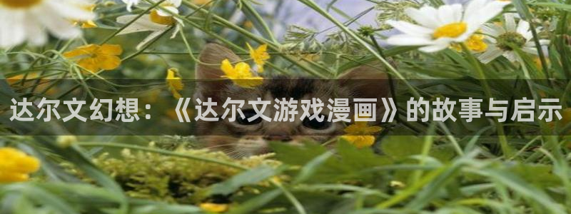 51漫画在线登录页面免费阅读无需下载