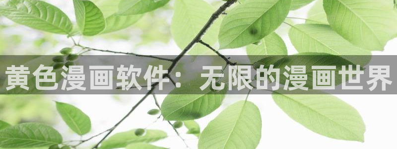 51漫画电脑网页